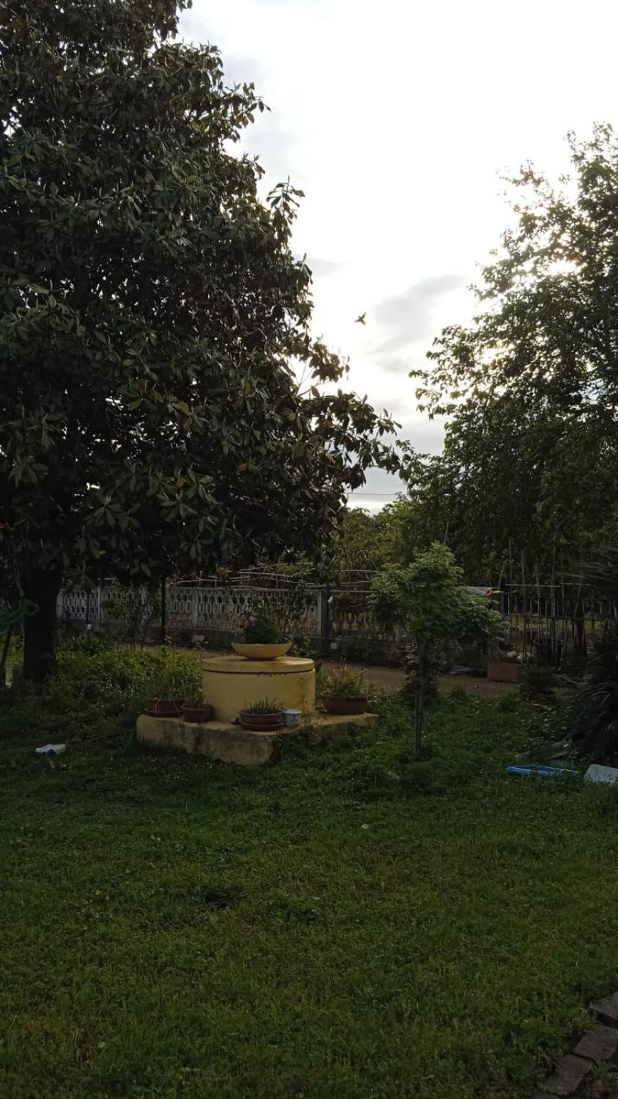로마 Casina Maria 아파트 외부 사진